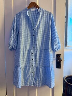 Light Blue Gingham Long Sleeve Button-Front Dress